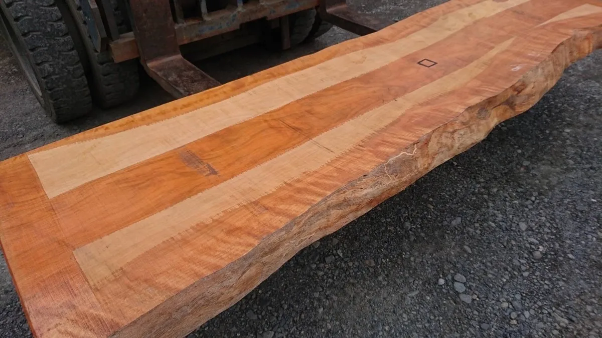 千葉県夷隅郡・K様 本桜一枚板〜2枚 (140キロ)