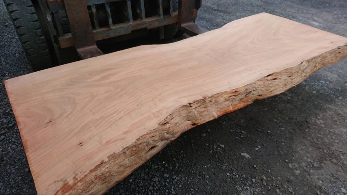 千葉県夷隅郡・K様 本桜一枚板〜2枚 (140キロ)