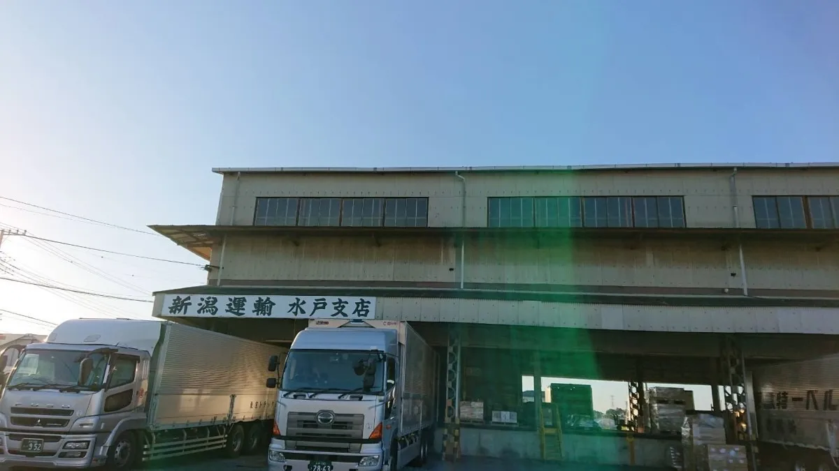 杉一枚板 1,100×550〜600×50〜4枚口