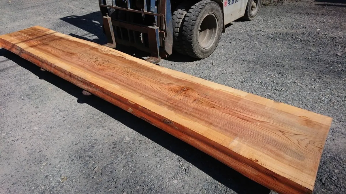 杉一枚板 1,100×550〜600×50〜4枚口