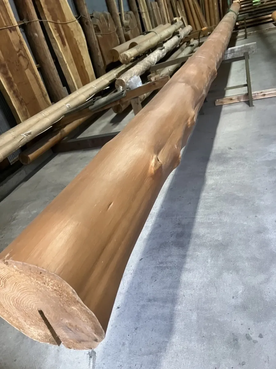 水府プレカット工場に衲材