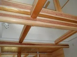 杉 リビング天井