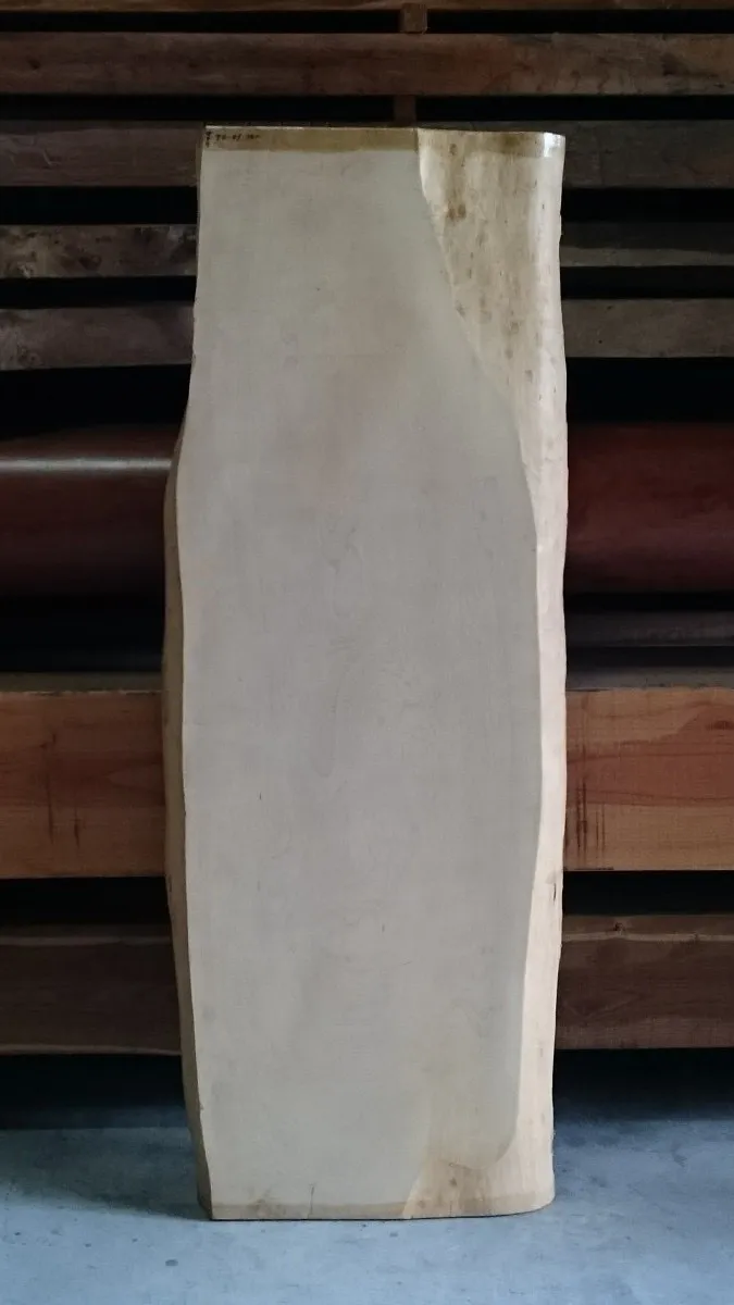 一枚板ダイニングを栃木県で選ぶ際の栃の魅力と最良の選び方